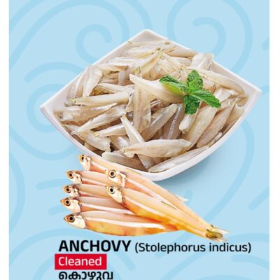 Tasty Nibbles Anchovy Cleaned BIg Size 600 GM