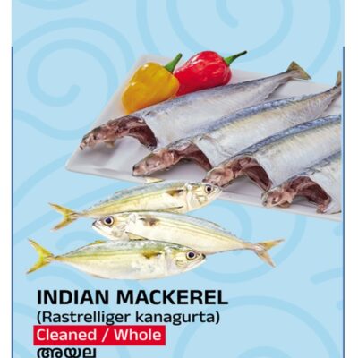 Tasty Nibbles Mackerel Cleaned Pan Ready 15-16 600 GM