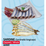 Tasty Nibbles Sardine Cleaned Big Size 600 GM