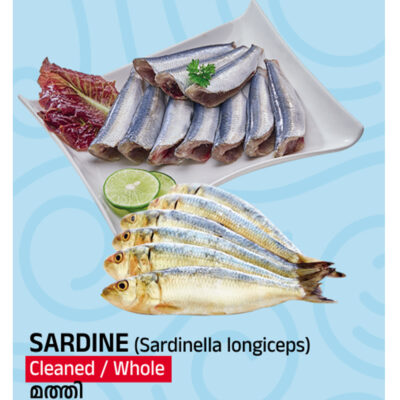Tasty Nibbles Sardine Cleaned Big Size 600 GM